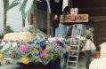 Filename=KAY-METZELERSTANFREEMANMARPLECARNIVALc1980.jpg
Filesize=81KiB
Dimensions=500x329
Date added=Jan 22, 2011 KAY-METZELERSTANFREEMANMARPLECARNIVALc1980.jpg