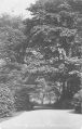 Filename=DrivetoErnocroftHall.jpg
Filesize=65KiB
Dimensions=320x500
Date added=Jan 01, 2007 DrivetoErnocroftHall.jpg