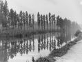 Filename=waterside.jpg
Filesize=51KiB
Dimensions=500x375
Date added=Dec 16, 2006 waterside.jpg