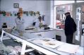fishshop.jpg
