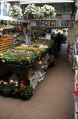 Filename=hollins_hardware01.jpg
Filesize=103KiB
Dimensions=326x500
Date added=Sep 18, 2009 hollins_hardware01.jpg
