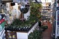 hollins_hardware02.jpg