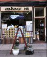 Filename=paint.jpg
Filesize=124KiB
Dimensions=405x500
Date added=Sep 18, 2009 paint.jpg