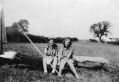 Filename=mellorguides05brendaguides.jpg
Filesize=105KiB
Dimensions=500x344
Date added=May 05, 2018 mellorguides05brendaguides.jpg