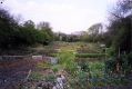 Filename=allotment-1995b.jpg
Filesize=45KiB
Dimensions=500x334
Date added=May 01, 2020 allotment-1995b.jpg