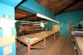Filename=img_3517y.jpg
Filesize=67KiB
Dimensions=500x333
Date added=Feb 28, 2019 img_3517y.jpg