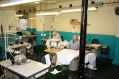 Filename=img_3550y.jpg
Filesize=70KiB
Dimensions=500x333
Date added=Feb 28, 2019 img_3550y.jpg