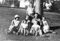 Filename=mlhs_ardern_barrage_gardens_near_cairo_1933.jpg
Filesize=98KiB
Dimensions=500x349
Date added=Apr 03, 2010 mlhs_ardern_barrage_gardens_near_cairo_1933.jpg