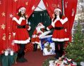 XmasCrackr261.JPG