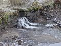 Filename=CanalW111212_025.JPG
Filesize=112KiB
Dimensions=500x381
Date added=Dec 24, 2012 CanalW111212_025.JPG