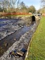CanalW111212_029.JPG