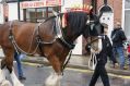 Filename=Marplecarnival2012-773.jpg
Filesize=64KiB
Dimensions=500x333
Date added=Jun 17, 2012 Marplecarnival2012-773.jpg