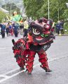 Filename=carnival20615_085.JPG
Filesize=97KiB
Dimensions=406x500
Date added=Jun 24, 2015 carnival20615_085.JPG