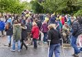 Filename=carnival20615_166.JPG
Filesize=100KiB
Dimensions=500x349
Date added=Jun 24, 2015 carnival20615_166.JPG