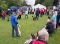 Filename=carnival20615_236.JPG
Filesize=89KiB
Dimensions=500x369
Date added=Jun 24, 2015 carnival20615_236.JPG