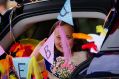 Filename=CarnivalPrincess2.JPG
Filesize=96KiB
Dimensions=500x333
Date added=Jun 19, 2016 CarnivalPrincess2.JPG