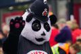Filename=ConstableCub2.JPG
Filesize=68KiB
Dimensions=500x333
Date added=Jun 19, 2016 ConstableCub2.JPG