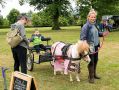 Filename=carnival6618_060.jpg
Filesize=124KiB
Dimensions=500x376
Date added=Jun 18, 2018 carnival6618_060.jpg
