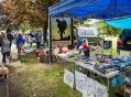 Filename=carnival6618_065.jpg
Filesize=138KiB
Dimensions=500x368
Date added=Jun 18, 2018 carnival6618_065.jpg