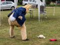 Filename=carnival6618__018.jpg
Filesize=108KiB
Dimensions=500x376
Date added=Jun 18, 2018 carnival6618__018.jpg