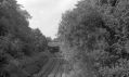 Filename=13a-14_Brabyns_Marple_Station_from_bridge_1978.jpg
Filesize=89KiB
Dimensions=500x298
Date added=Oct 26, 2008 13a-14_Brabyns_Marple_Station_from_bridge_1978.jpg