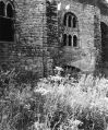 Filename=Lime_Kilns4.jpg
Filesize=113KiB
Dimensions=414x500
Date added=Mar 10, 2009 Lime_Kilns4.jpg