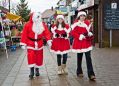 XmasCracker101210027.JPG