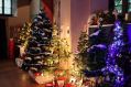 Img_8155a.jpg