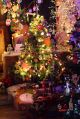 Filename=Img_8167a.jpg
Filesize=92KiB
Dimensions=335x500
Date added=Dec 09, 2013 Img_8167a.jpg
