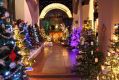 Filename=Img_8170a.jpg
Filesize=82KiB
Dimensions=500x336
Date added=Dec 09, 2013 Img_8170a.jpg