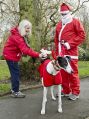 Filename=XmasRun81213_005.JPG
Filesize=99KiB
Dimensions=373x500
Date added=Dec 09, 2013 XmasRun81213_005.JPG