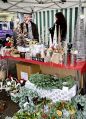 Filename=Xmascracker71213_200.JPG
Filesize=105KiB
Dimensions=362x500
Date added=Dec 12, 2013 Xmascracker71213_200.JPG