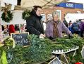 Filename=cracker61214065.JPG
Filesize=102KiB
Dimensions=500x379
Date added=Dec 09, 2014 cracker61214065.JPG