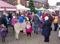 Filename=cracker61214284.JPG
Filesize=93KiB
Dimensions=500x369
Date added=Dec 09, 2014 cracker61214284.JPG
