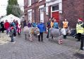 Filename=cracker61214291.JPG
Filesize=84KiB
Dimensions=500x352
Date added=Dec 09, 2014 cracker61214291.JPG
