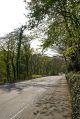 Danbank-position-1-april-2009.jpg