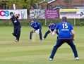 Filename=MarpleCC10515_035.JPG
Filesize=93KiB
Dimensions=500x383
Date added=May 13, 2015 MarpleCC10515_035.JPG