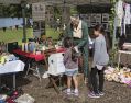 Filename=MATFactsnFunDay6915_040.JPG
Filesize=94KiB
Dimensions=500x392
Date added=Sep 09, 2015 MATFactsnFunDay6915_040.JPG