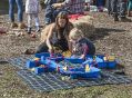 MATFactsnFunDay6915_118.JPG