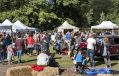 Filename=MATFactsnFunDay6915_189.JPG
Filesize=96KiB
Dimensions=500x320
Date added=Sep 09, 2015 MATFactsnFunDay6915_189.JPG