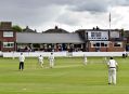 Cricket18911W08.JPG