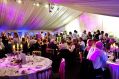 Filename=FestivalBallSW11011133.JPG
Filesize=104KiB
Dimensions=500x333
Date added=Oct 02, 2011 FestivalBallSW11011133.JPG