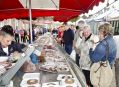 Filename=FoodFestival14913_102.JPG
Filesize=85KiB
Dimensions=500x364
Date added=Sep 16, 2013 FoodFestival14913_102.JPG