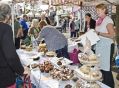 Filename=foodfest13914_51.JPG
Filesize=90KiB
Dimensions=500x369
Date added=Sep 15, 2014 foodfest13914_51.JPG