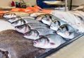 Filename=foodfest16917_07.JPG
Filesize=121KiB
Dimensions=500x344
Date added=Sep 17, 2017 foodfest16917_07.JPG