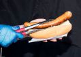 Filename=foodfest21919_018a.jpg
Filesize=65KiB
Dimensions=500x353
Date added=Sep 23, 2019 foodfest21919_018a.jpg