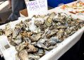 Filename=foodfest21919_030.jpg
Filesize=108KiB
Dimensions=500x357
Date added=Sep 23, 2019 foodfest21919_030.jpg