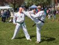 Filename=mayday15516_153.jpg
Filesize=144KiB
Dimensions=500x386
Date added=May 18, 2016 mayday15516_153.jpg