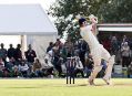 Filename=Cricket19813_T169.JPG
Filesize=76KiB
Dimensions=500x365
Date added=Aug 21, 2013 Cricket19813_T169.JPG