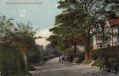25391.jpg